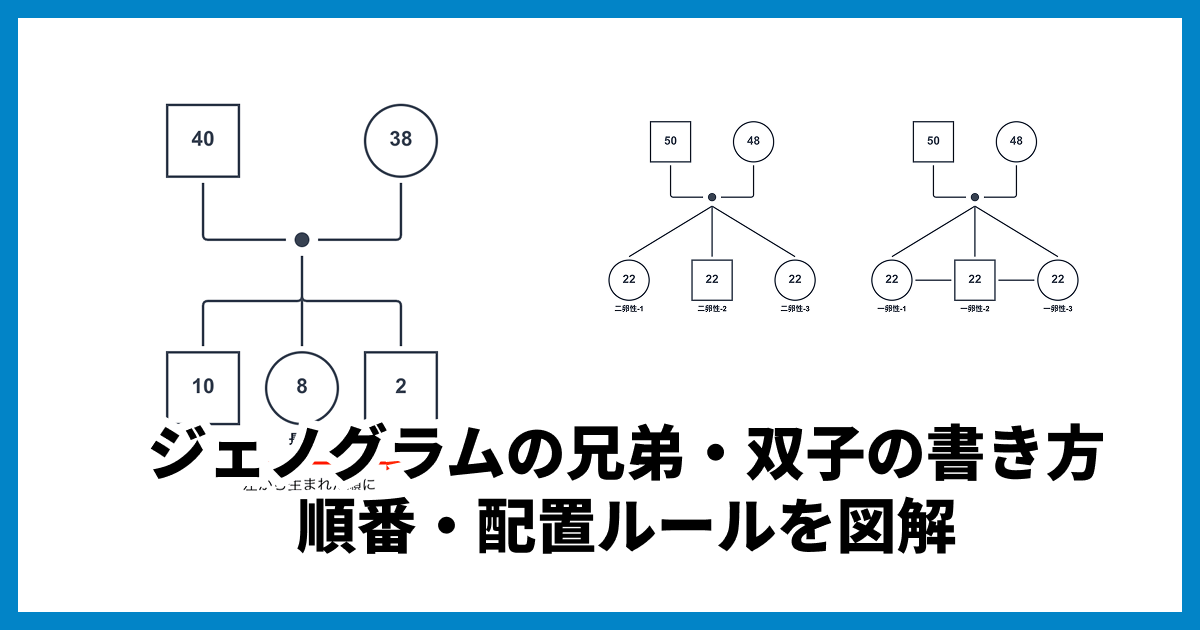 ジェノグラムの兄弟・双子の書き方|順番・配置ルールを図解